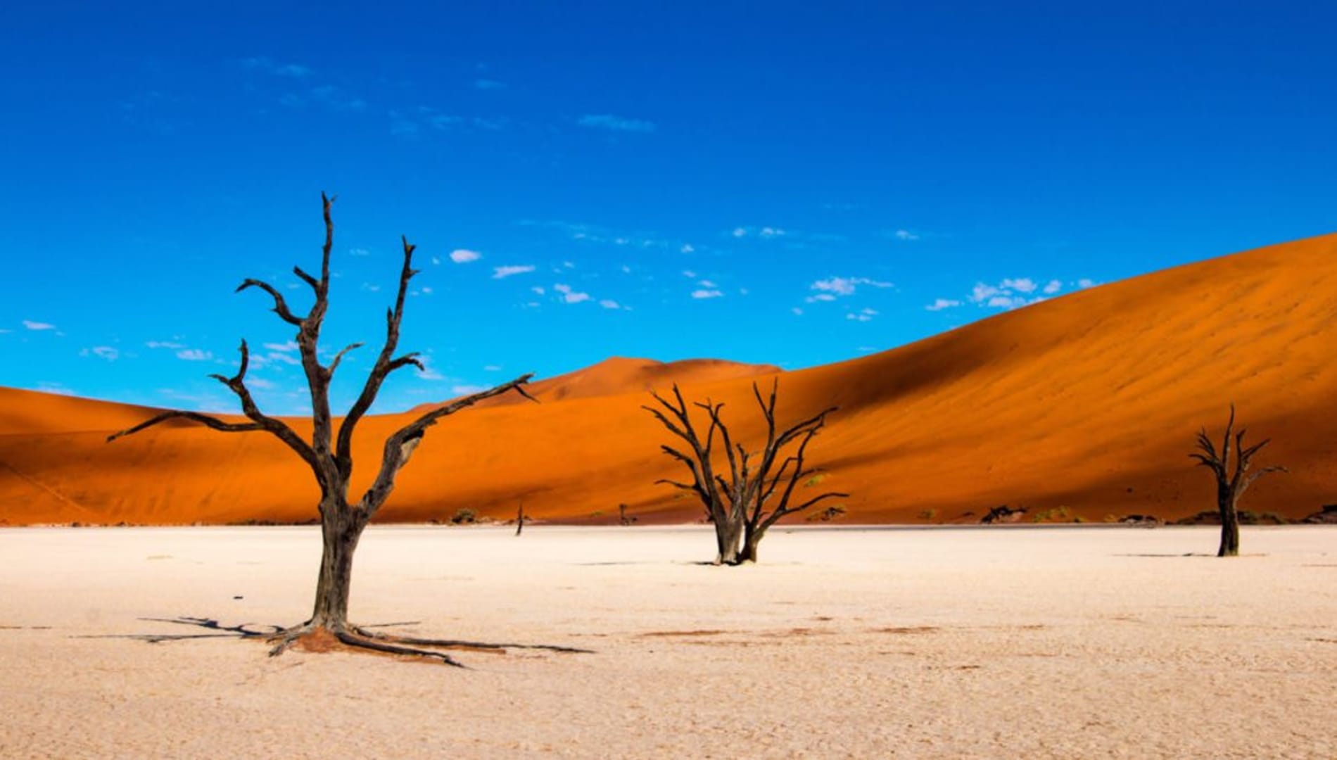 The Best Time to Visit Sossusvlei Explained