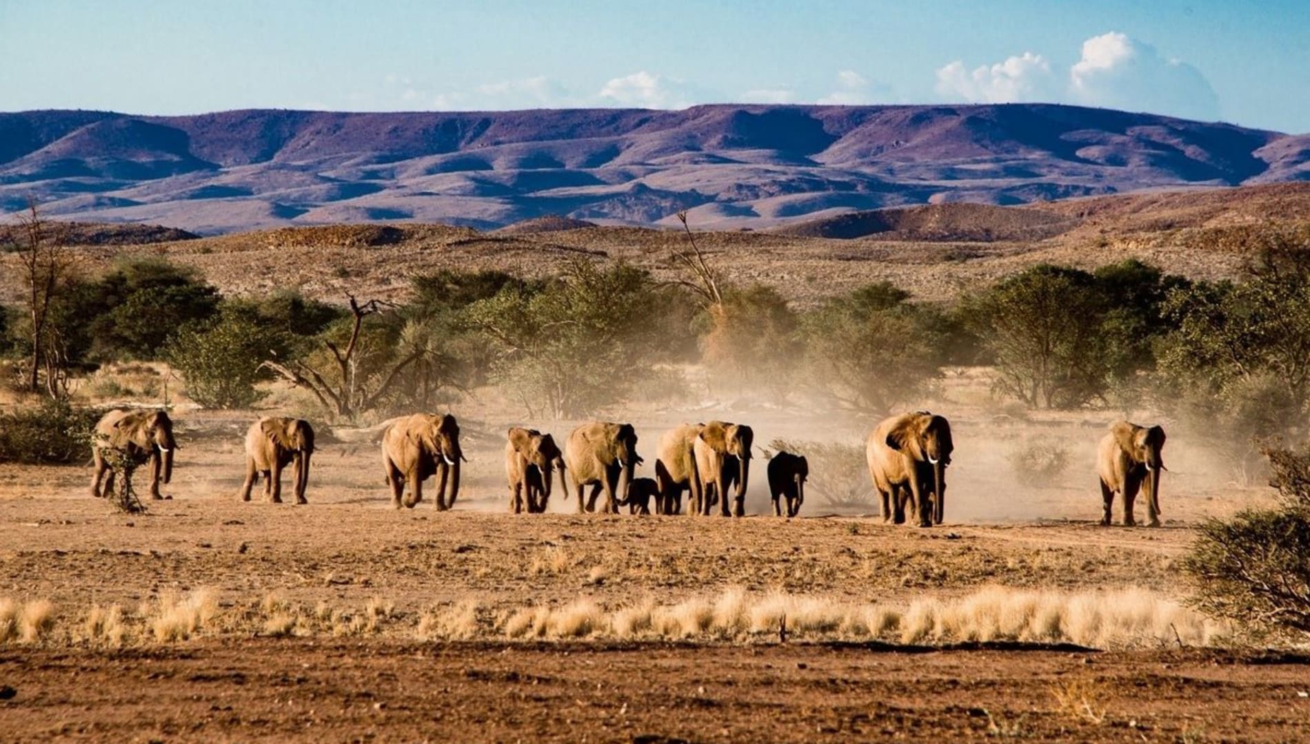 Namibia Safaris 2023: Our Top Picks