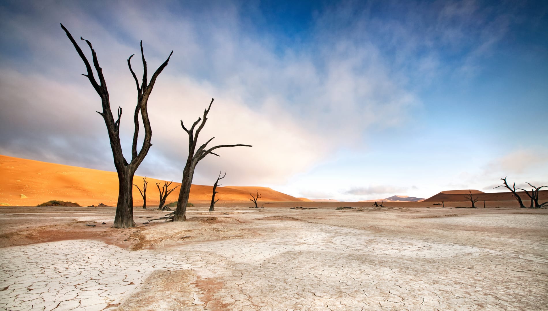 7-Day Namibia Desert & Dunes Luxury Self-Drive Safari