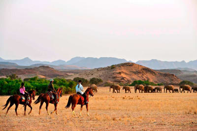 Namibia’s Most Popular Horse Riding Safari Trails