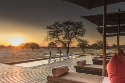 Top 5 Luxury Safari Lodges in Namibia