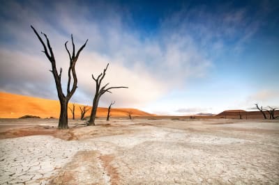 Namibia Safari From The UK: Everything You Need to Know