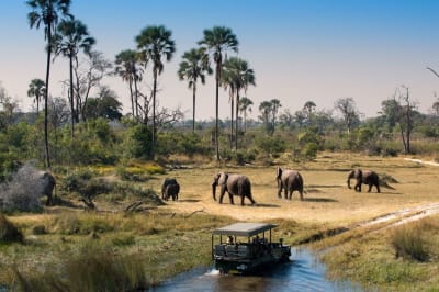 Best Time to Visit Botswana Explained