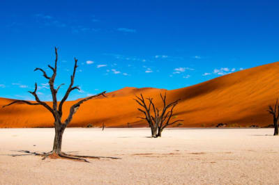 The Best Time to Visit Sossusvlei Explained