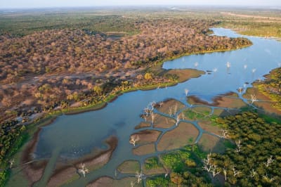 The Best Time to Visit The Okavango Delta Explained