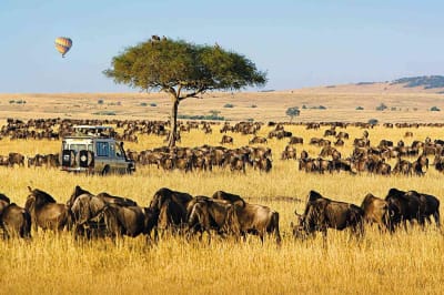 Curating Your Dream Safari: Customisable Luxury Group Tours in Namibia