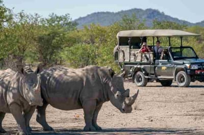 Exclusivity and Wildlife: Private Game Drives in Romantic Namibia