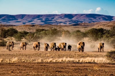 Namibia Safaris 2023: Our Top Picks