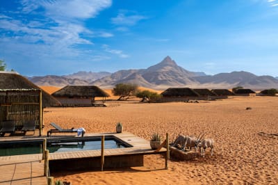 12 Day Namibia Private Luxury Self Drive Safari - DAY 1 & 2: Sossusvlei