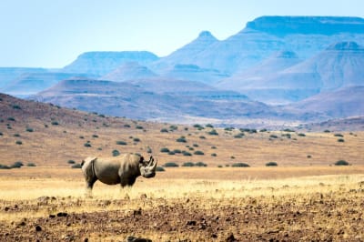 16 Day Namibia Luxury Self-Drive Safari - DAY 9 & 10: Damaraland