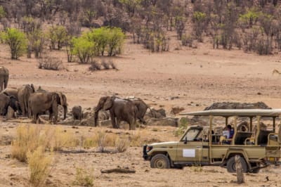 Classic Namibian Guided Safari - DAY 10: ETOSHA NATIONAL PARK - WEST (1 NIGHT)