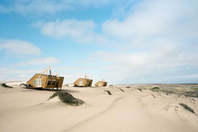 Desert Dune And Wildlife Safari - DAY 3 & 4: SKELETON COAST (2 NIGHTS)
