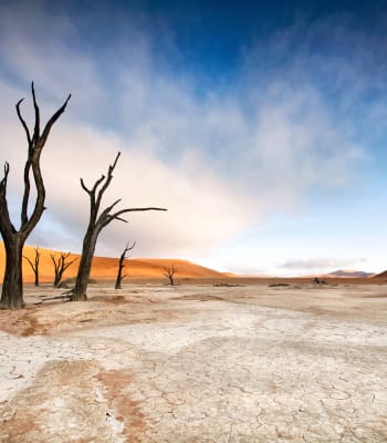 7-Day Namibia Desert & Dunes Luxury Self-Drive Safari