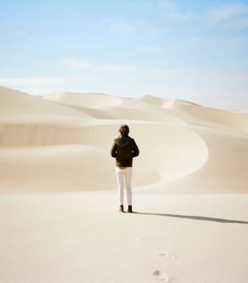 Desert Dune And Wildlife Safari