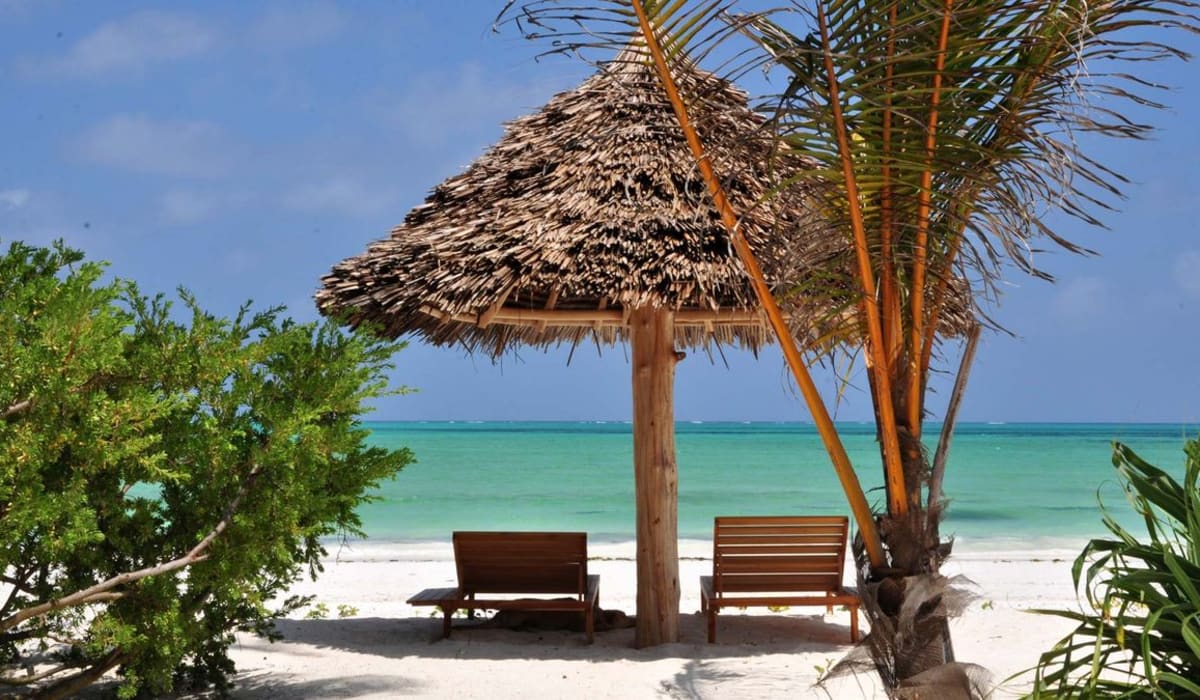 Luxury Accommodation: Namibia and Zanzibar Safari