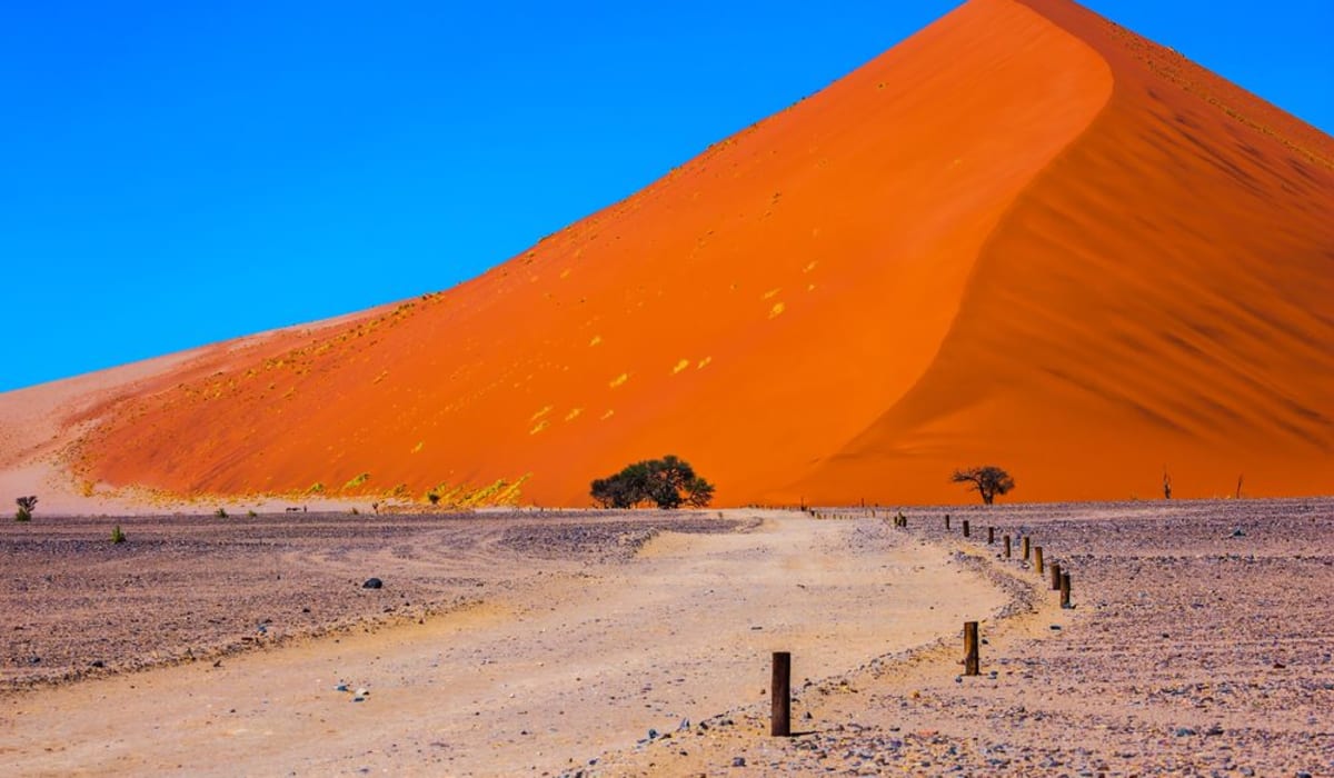 Exploring Namibia: Best Regions to Visit on Your Safari