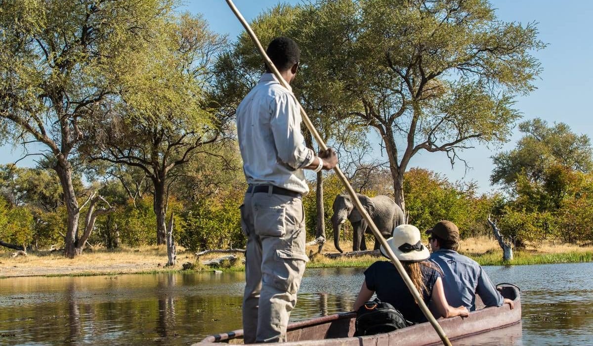 Thrilling Adventures Amidst Natural Splendour: Best Activities in the Okavango Delta