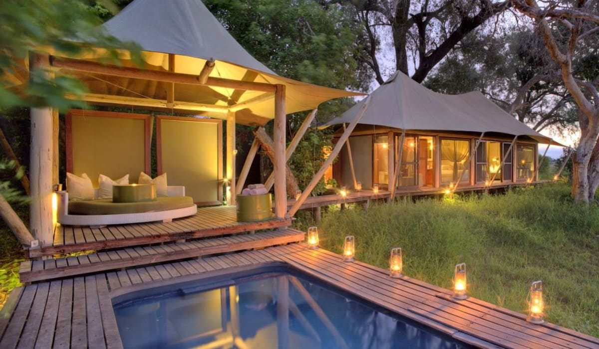 The Best Lodges in the Okavango Delta for Ultimate Comfort