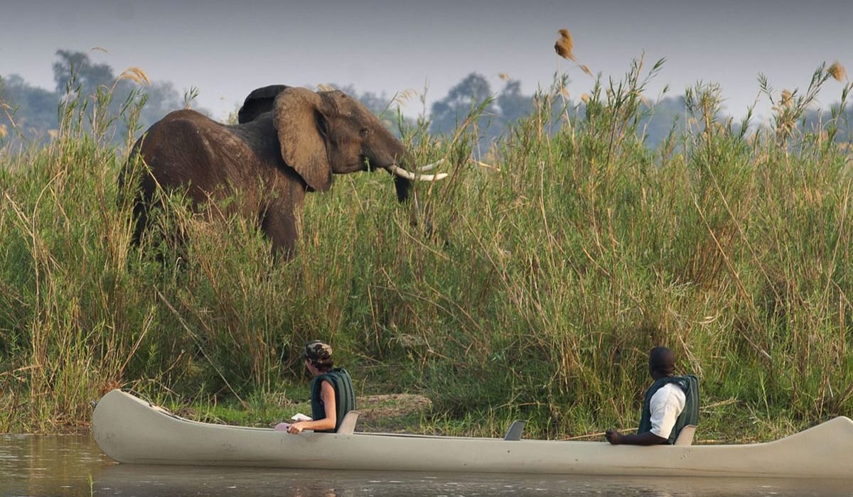 Zambezi Region: A River Wilderness