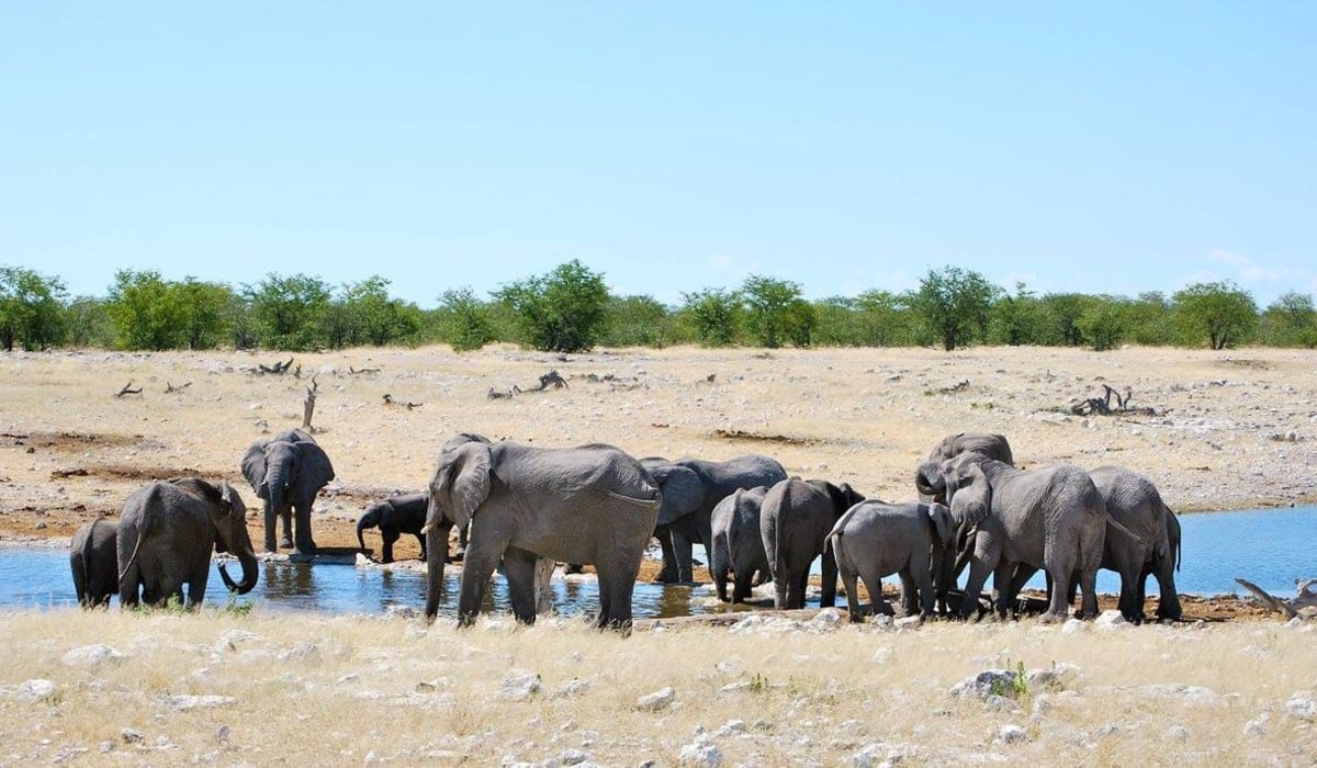 Best Activities on a Combined Namibia/Victoria Falls Safari