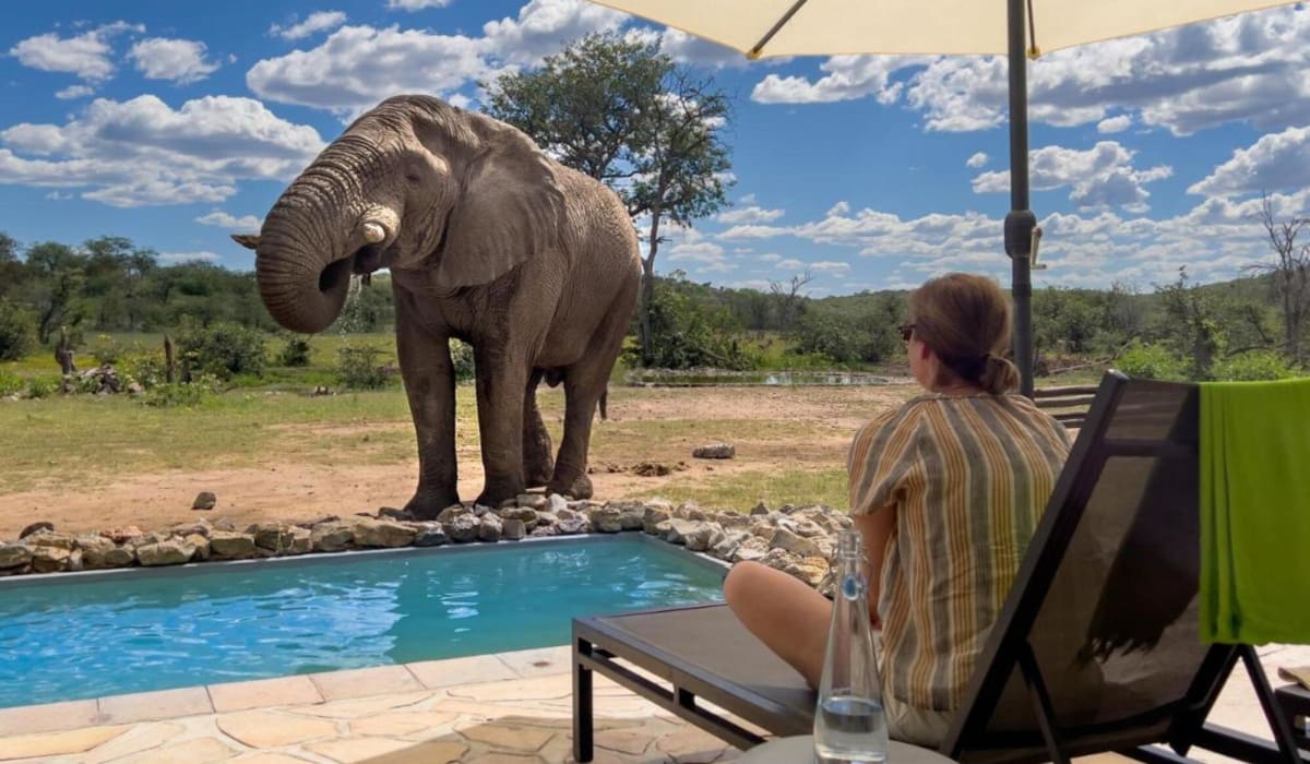 13 Day Namibia Luxury Family Fly-In Safari - DAY 9, 10, 11 & 12: Etosha