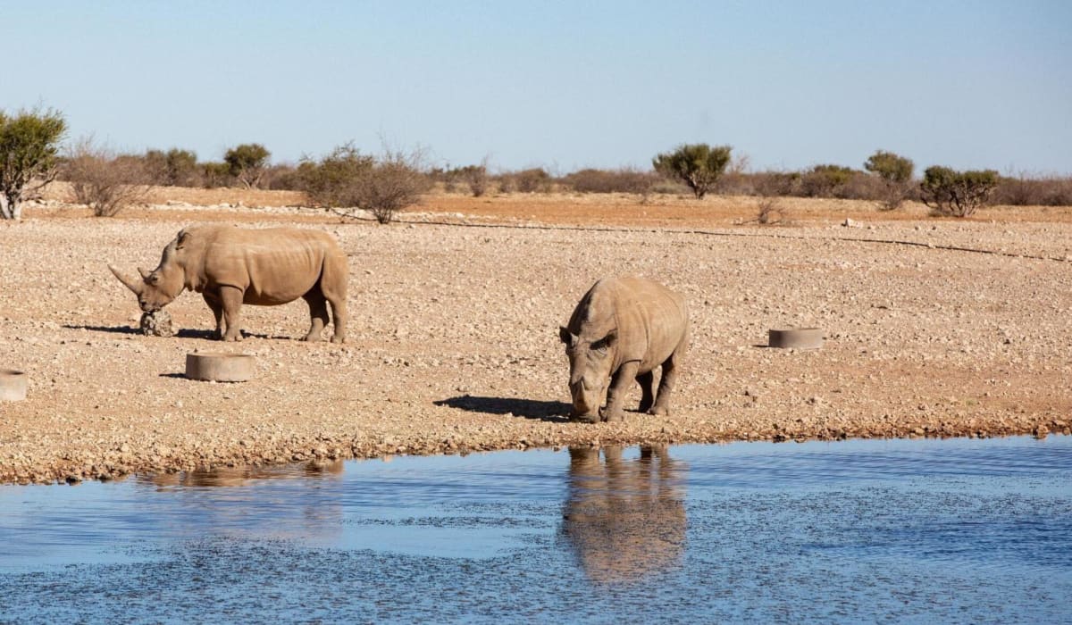 21 Day Namibia Luxury Self-Drive Safari - DAY 1 & 2: Kalahari