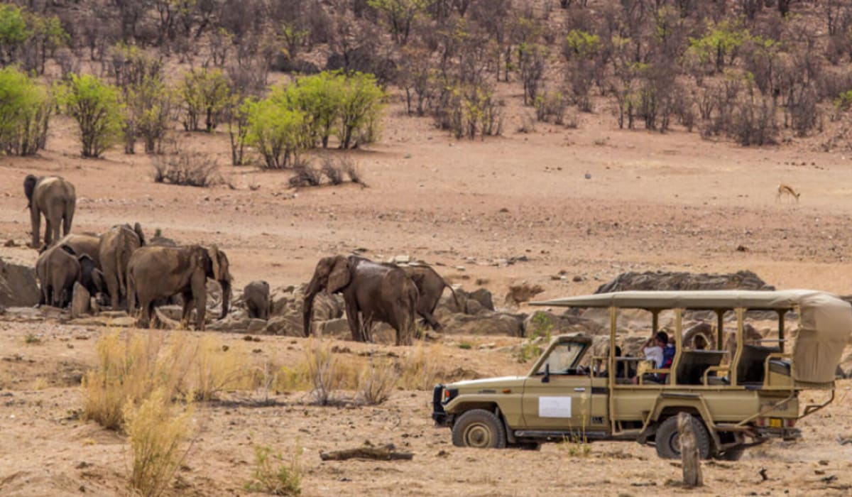 Classic Namibia Safari - DAY 10: ETOSHA NATIONAL PARK - WEST (1 NIGHT)