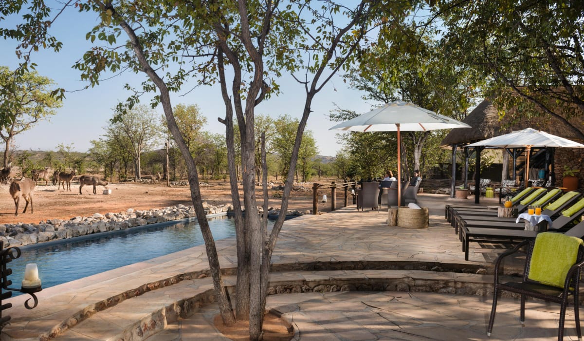 Ultimate Namibia All Inclusive Luxury Safari - DAY 14, 15 & 16: Etosha (South)