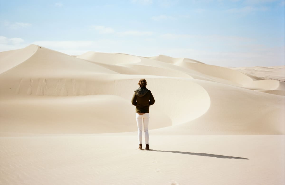 Desert Dune And Wildlife Safari