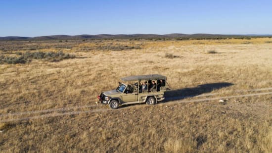 How to Book a Safari Vehicle in Namibia: Crafting Your Safari Journey