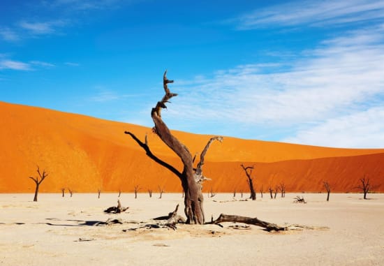 Booking Your Namibia Safari: Top Tips