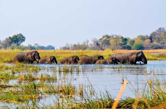 Zambezi Region: A River Wilderness