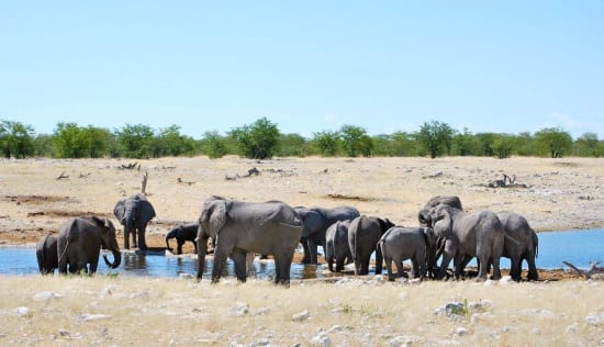 Best Activities on a Combined Namibia/Victoria Falls Safari