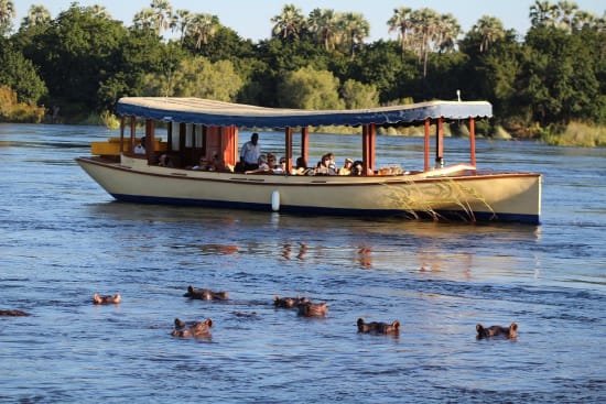 Cruise the Zambezi River