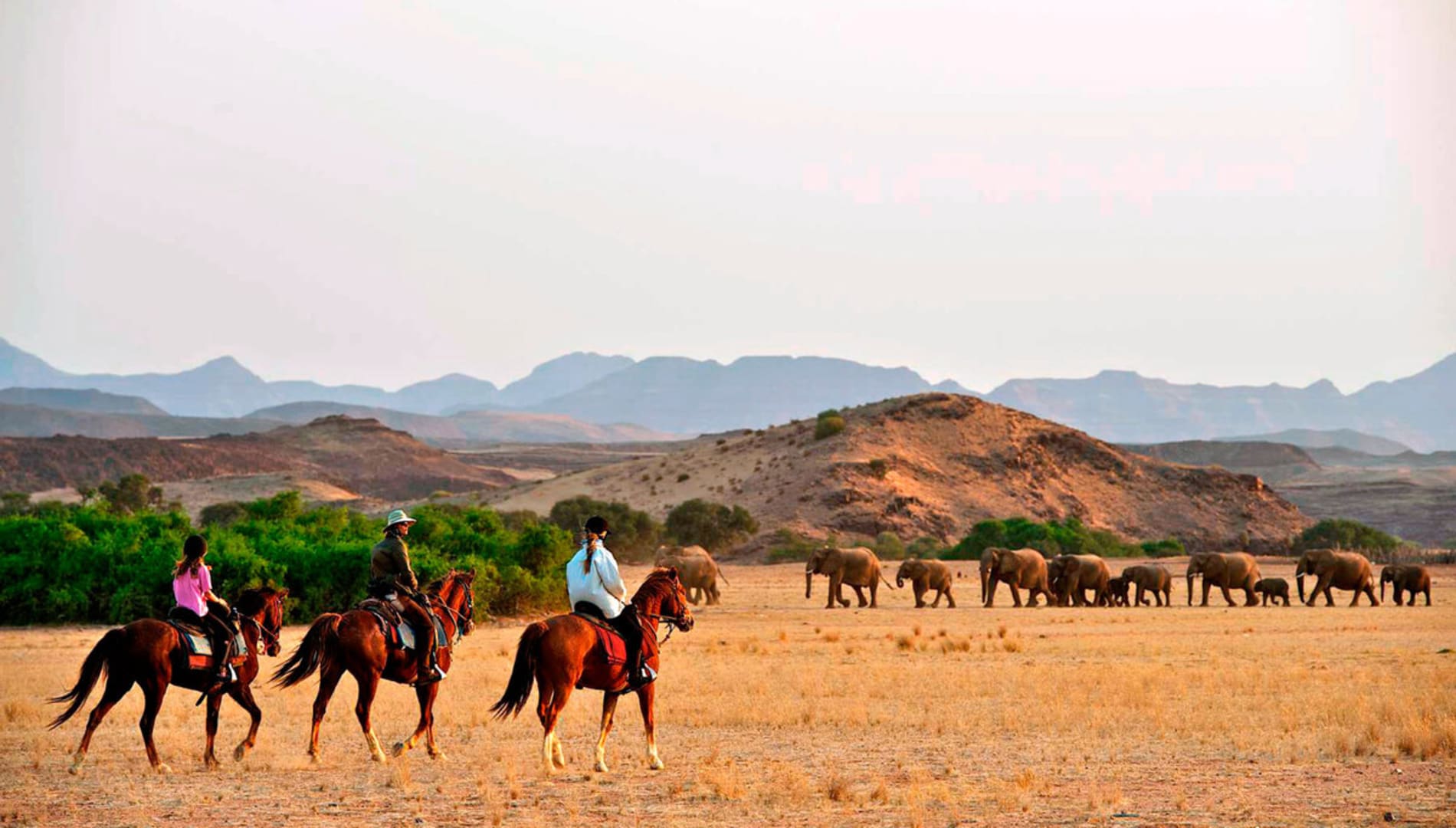 Namibia’s Most Popular Horse Riding Safari Trails