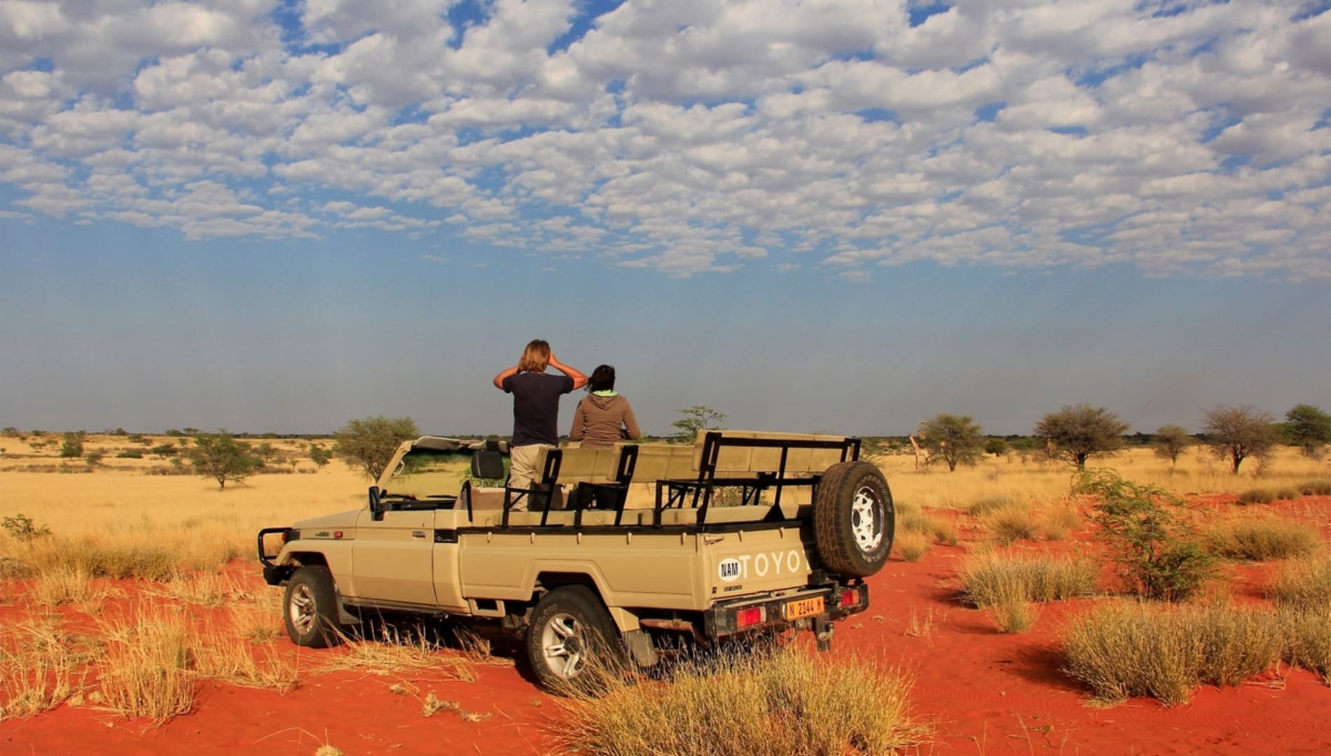 Ultimate Guide to the Namibian Kalahari