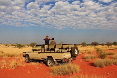 Ultimate Guide to the Namibian Kalahari