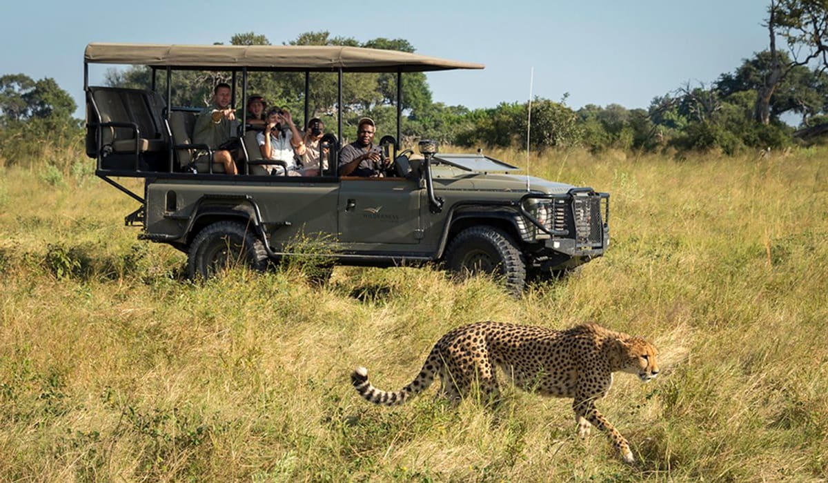 The Best Activities to try on a Botswana Safari