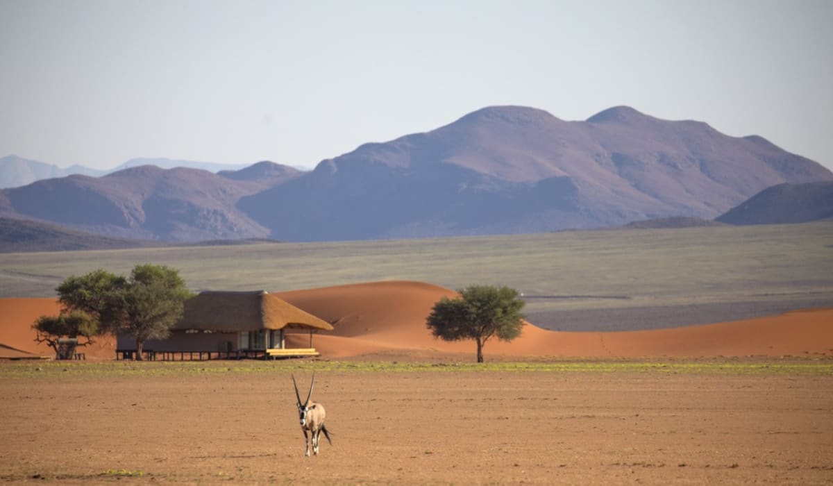 12 Day Namibia Private Luxury Self Drive Safari - DAY 1 & 2: Sossusvlei